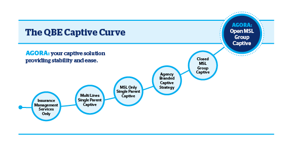 The QBE Captive Curve